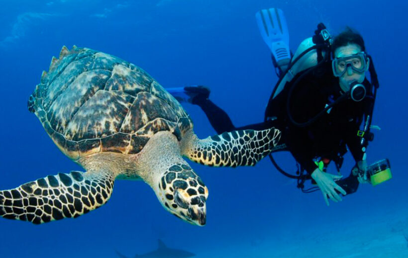 Scuba diving Giftun Island