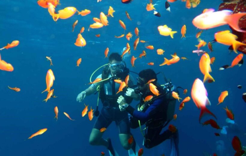 Snorkeling at hamata island