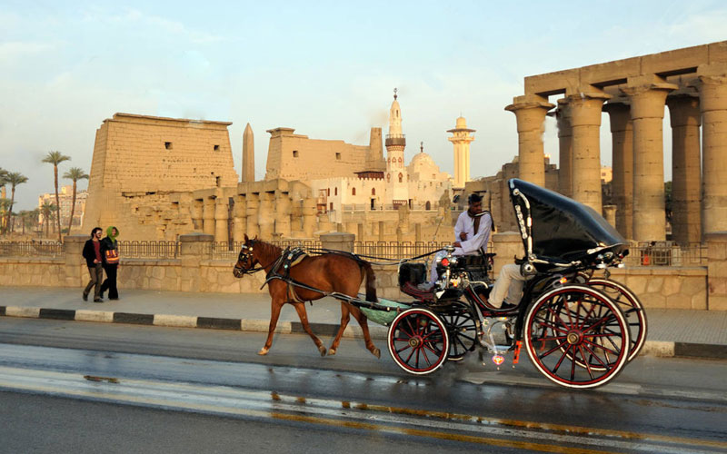 Luxor City Tour