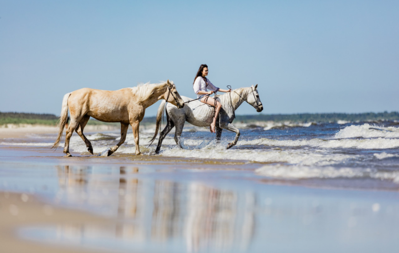 Hurghada Horse Riding