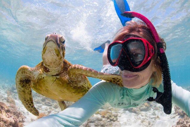 Abu Dabbab Snorkeling with Turtles & Dugong