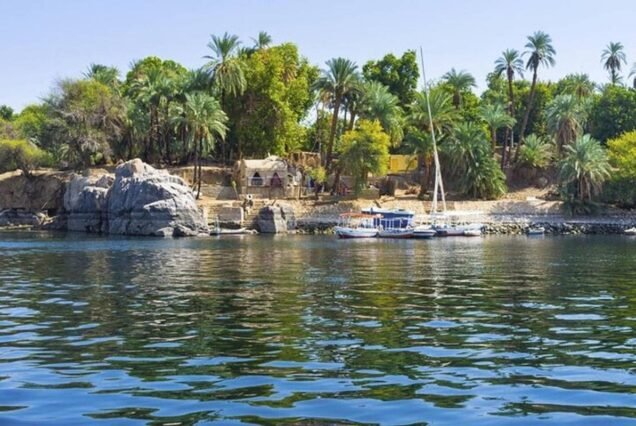 Banana Island Felucca Ride with Lunch from Luxor
