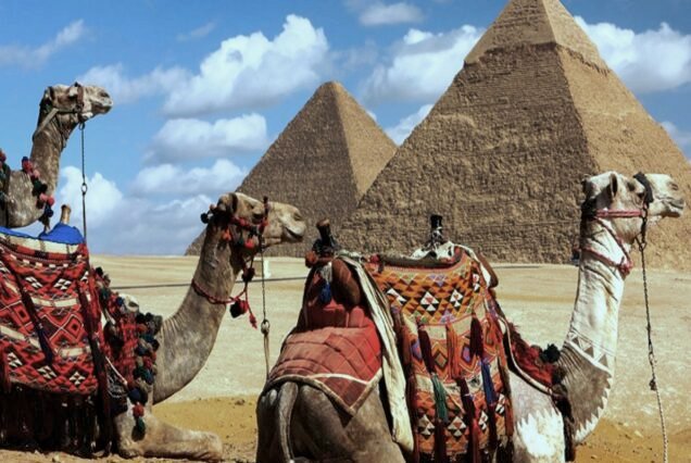 Cairo Airport Layover Tour: Giza Pyramids, Sphinx & GEM