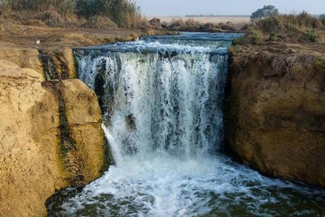 Fayoum Oasis, Wadi El Hitan & Magic Lake Private Day Trip