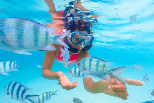 Hamata Islands Snorkeling Boat Trip & Qulaan