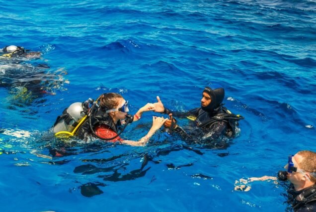 Hurghada Scuba Diving for Beginners: Introductory Experience
