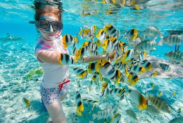 Sataya Dolphin Reef Snorkeling Trip from Marsa Alam