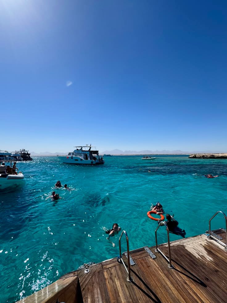 Red Sea Tours